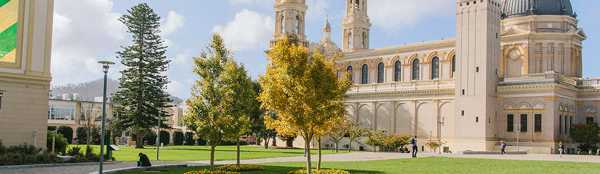 Tipos de ayudas económicas que ofrecen las instituciones americanas